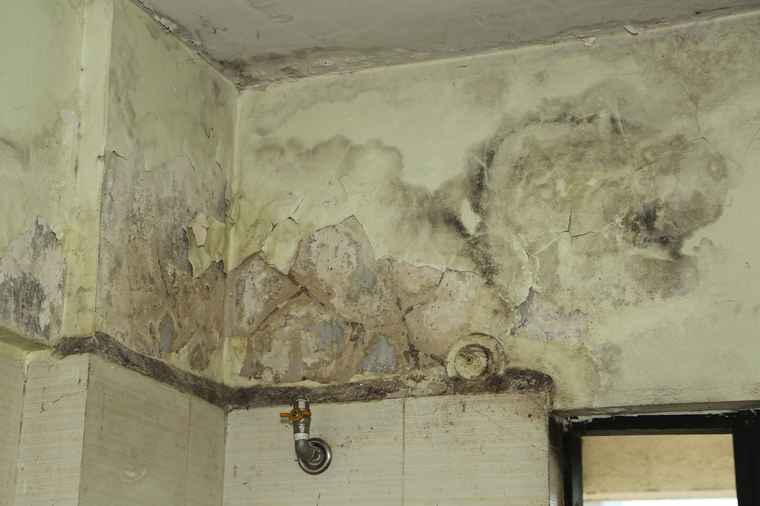 Wall dampness treatment services in Bangalore