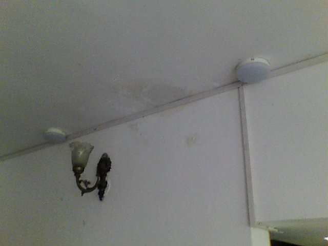 Home Inspection For Damped Wall And Celings