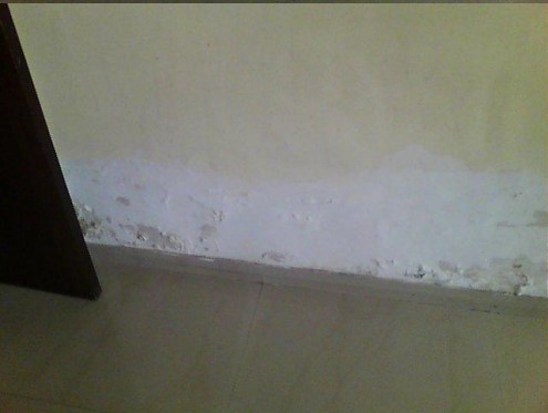 Home Inspection For Damped Wall And Celings